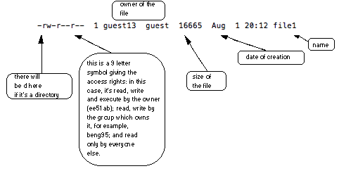 File and directory access rights